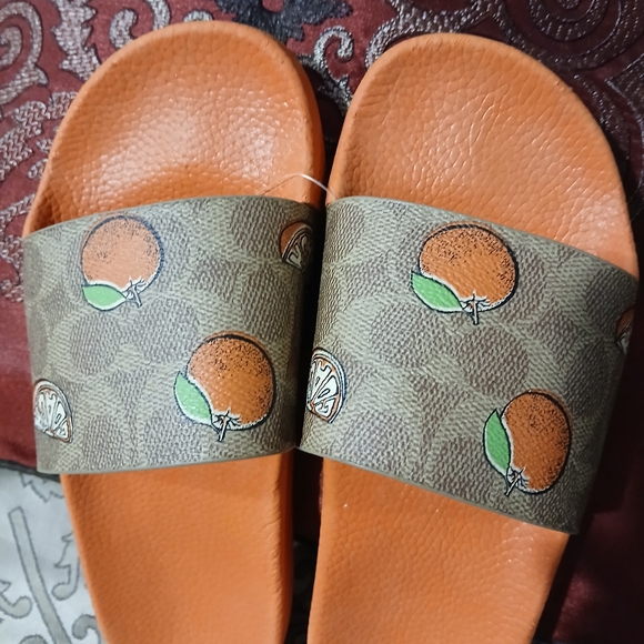 Coach Shoes - Coach Orange and Brown Slide Sandals